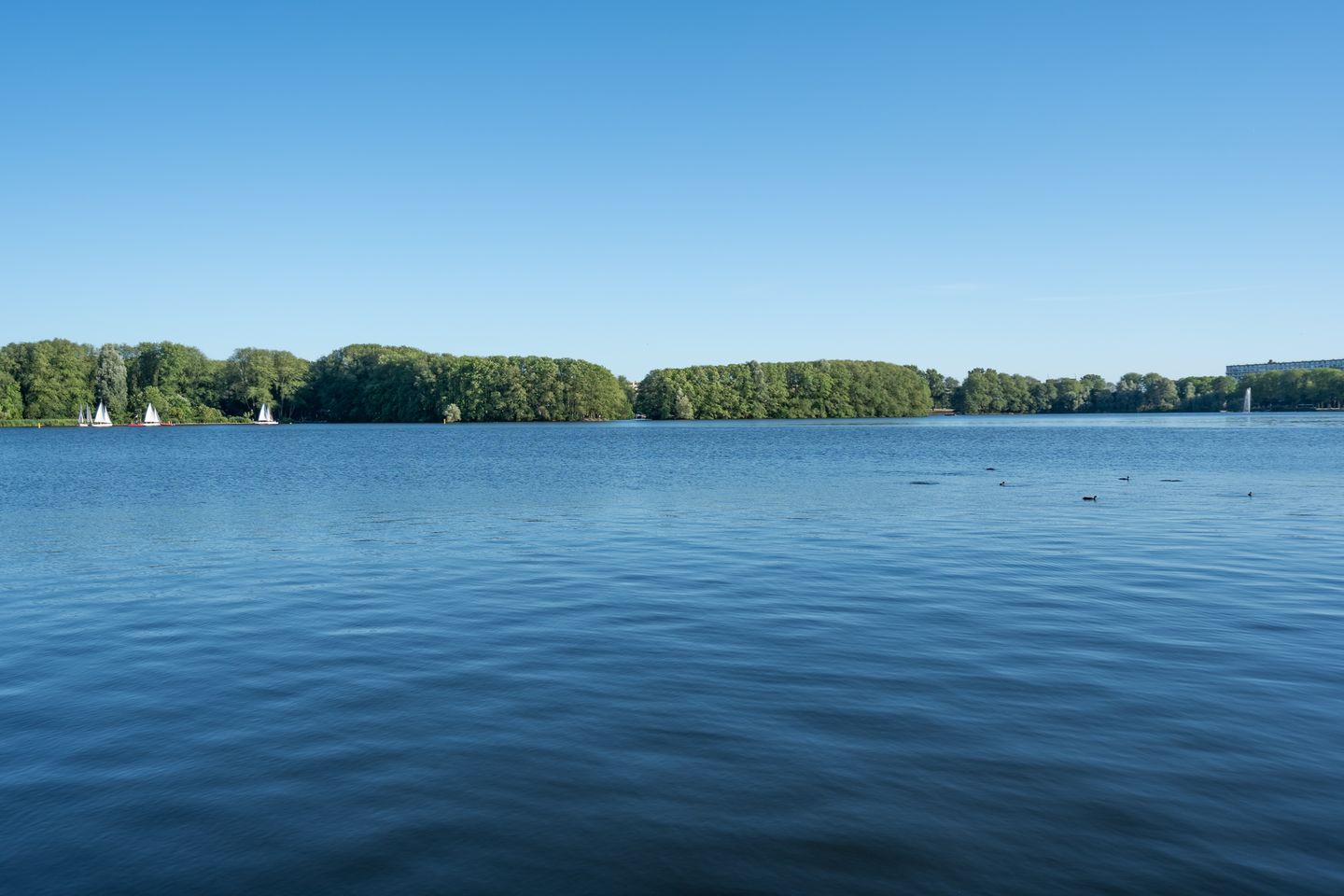 Photo 20 of Ruimzicht 243
