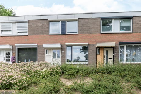 Truytstraat thumbnail