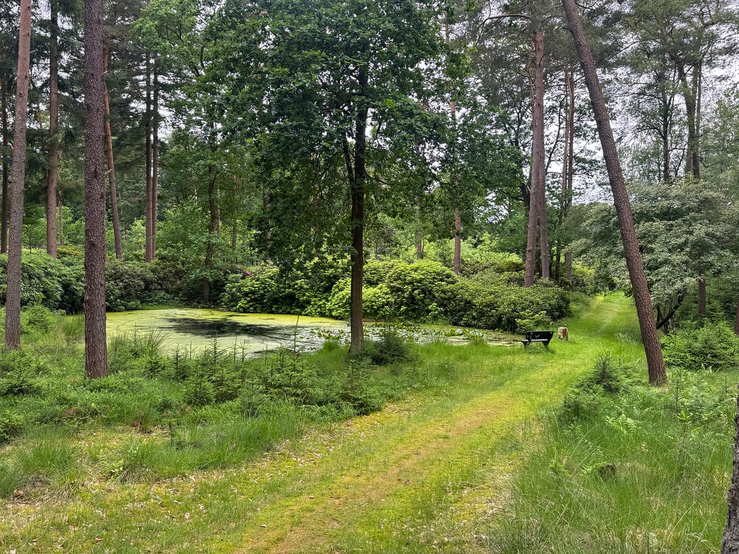 Photo 52 of Plaggeweg 135