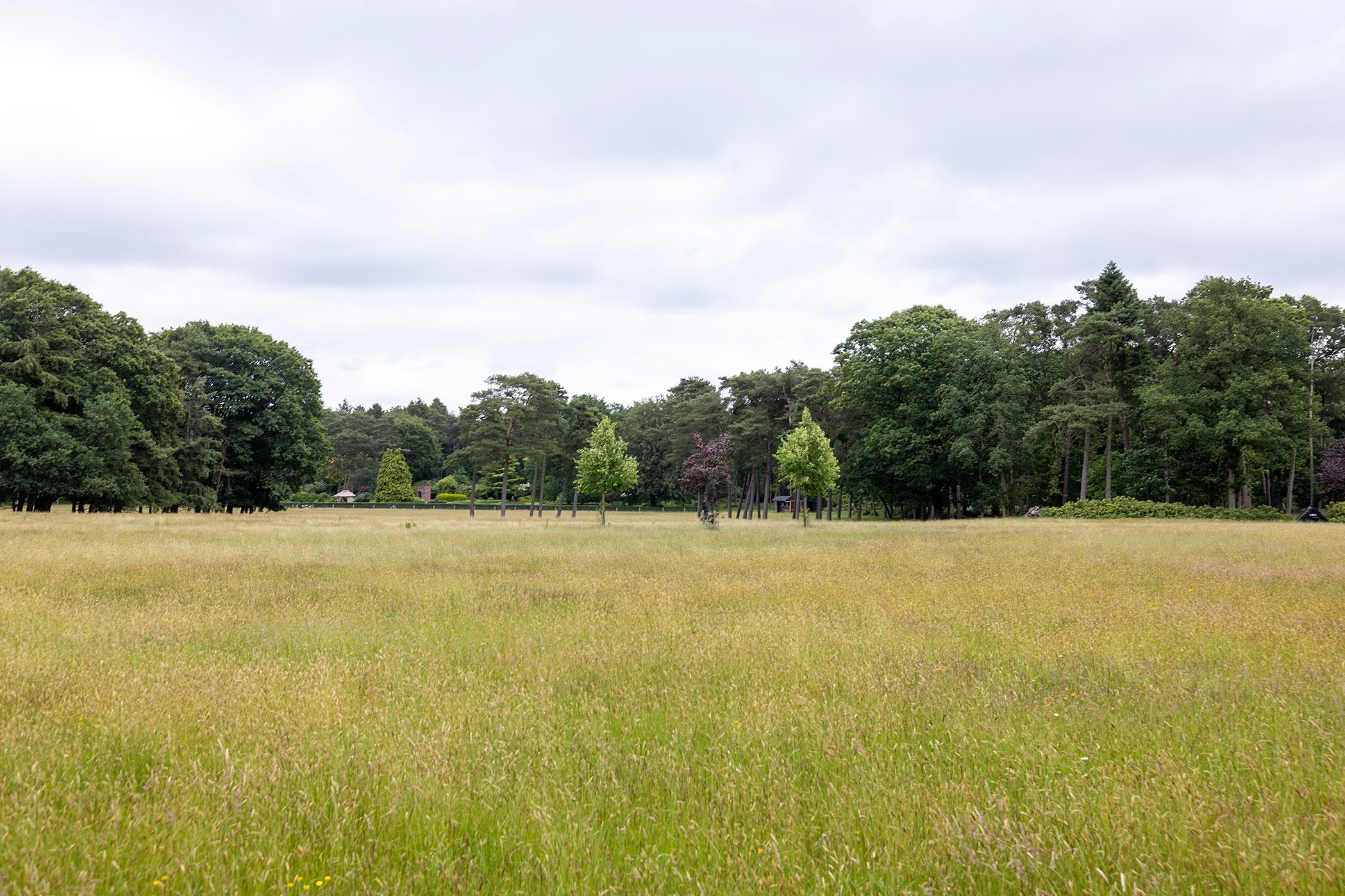 Photo 54 of Plaggeweg 135
