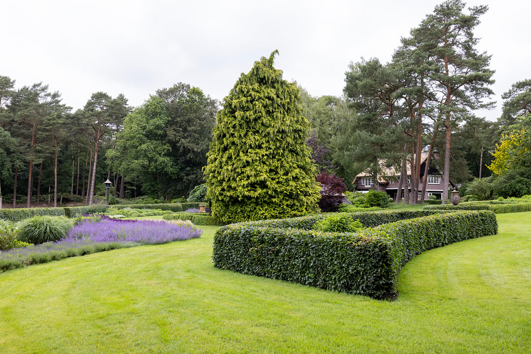 Photo 46 of Plaggeweg 135