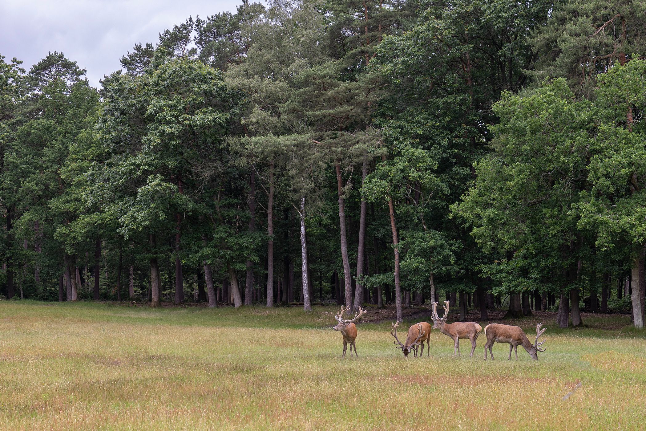 Photo 3 of Plaggeweg 135