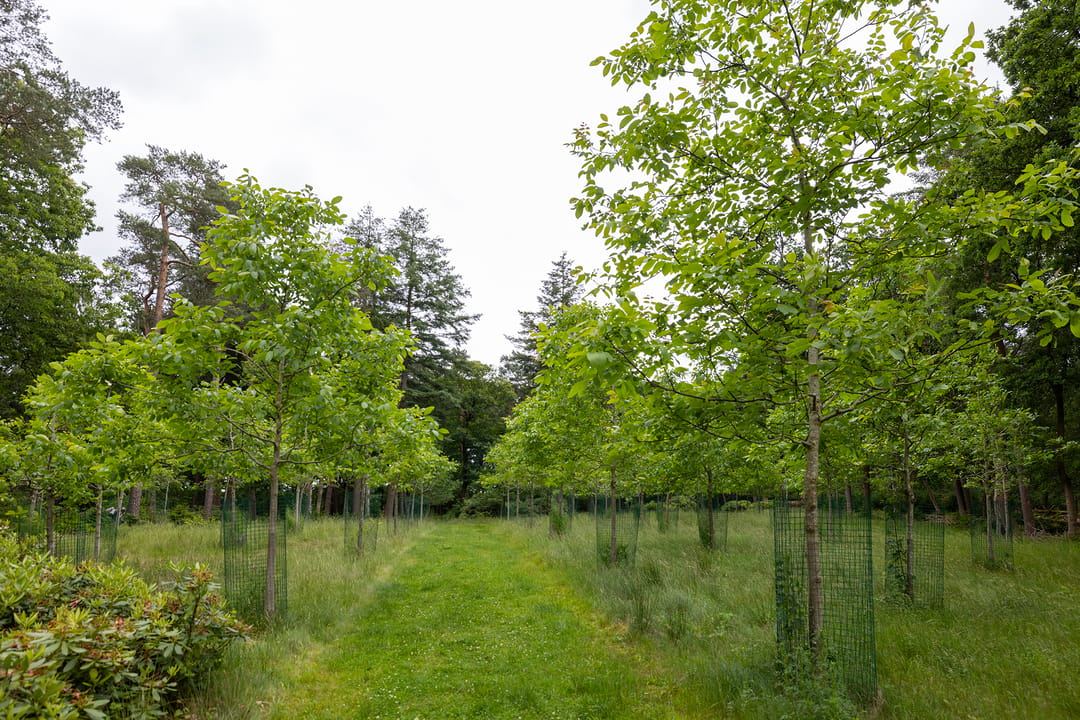 Photo 58 of Plaggeweg 135