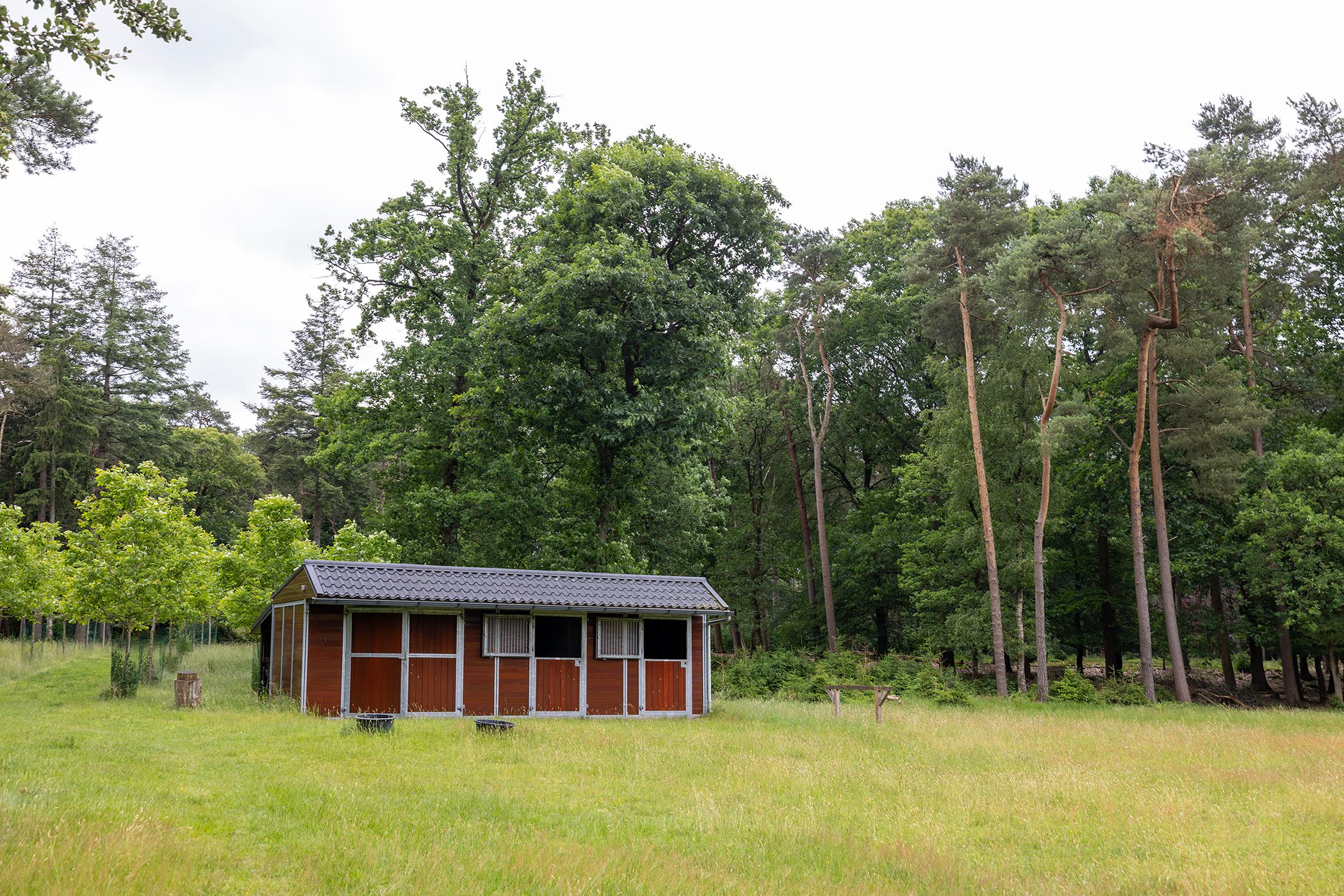 Photo 57 of Plaggeweg 135