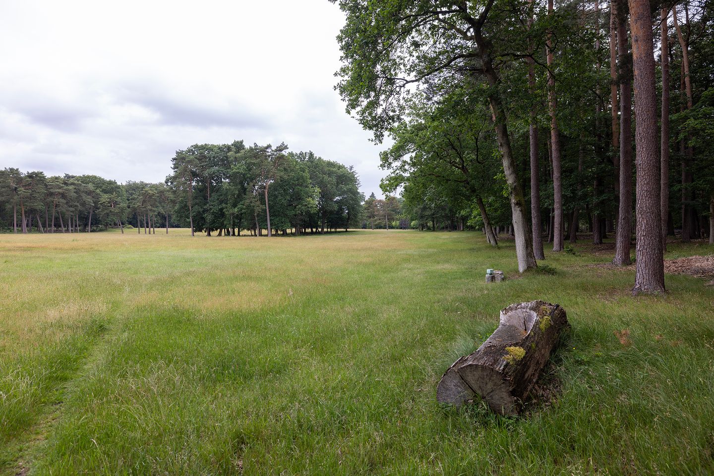 Photo 59 of Plaggeweg 135