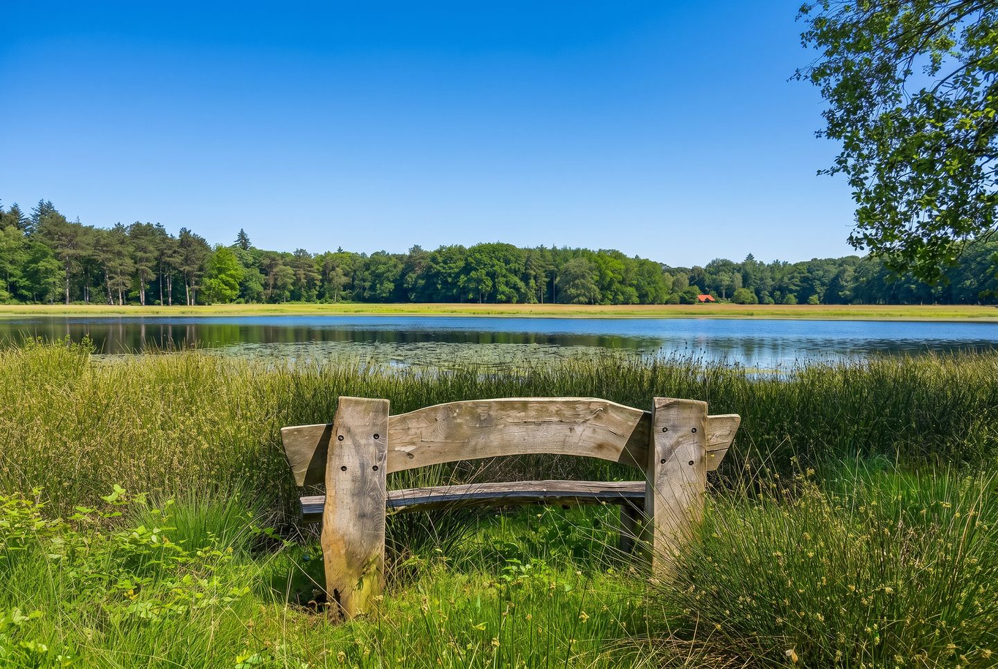 Photo 10 of Plaggeweg 135