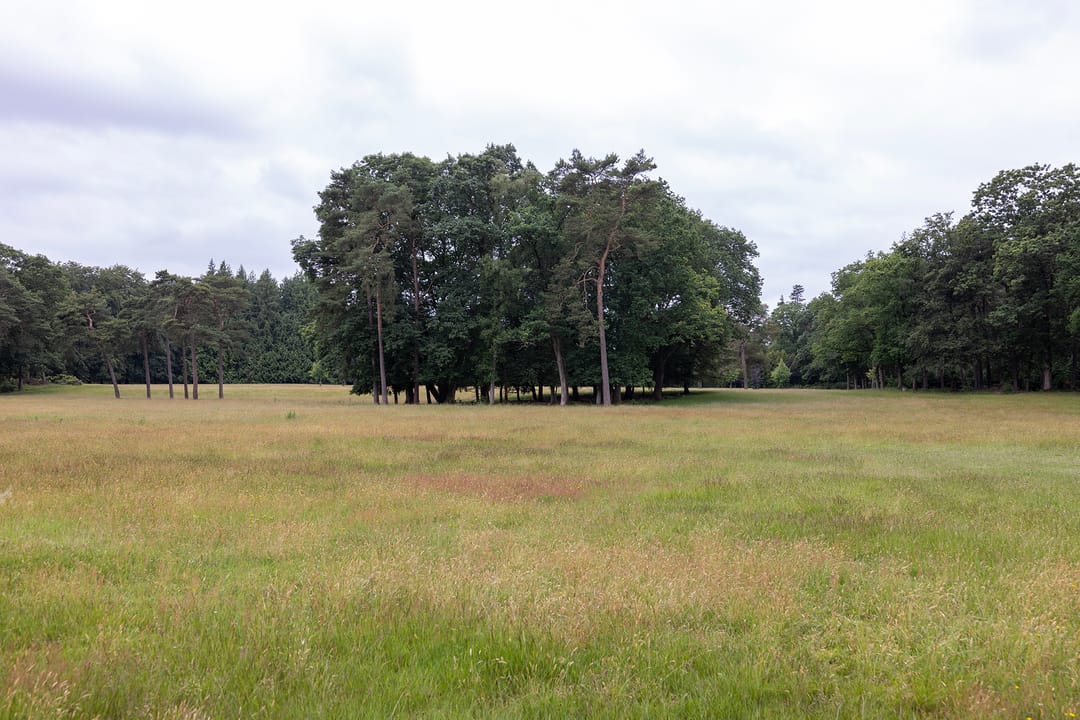 Photo 56 of Plaggeweg 135