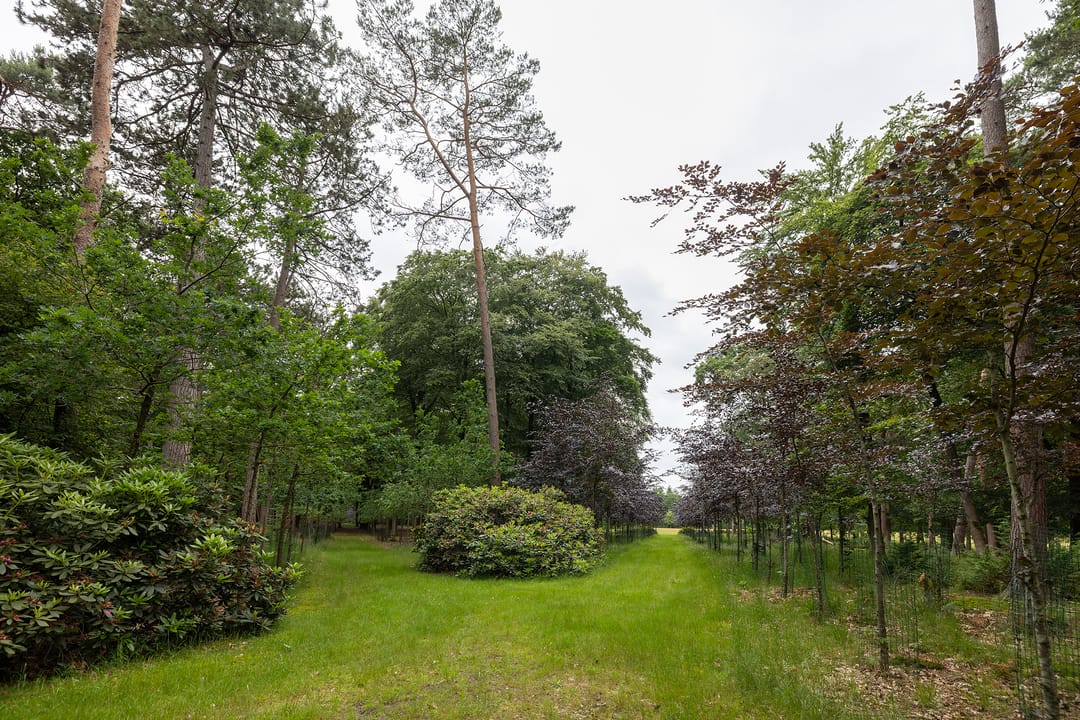Photo 53 of Plaggeweg 135