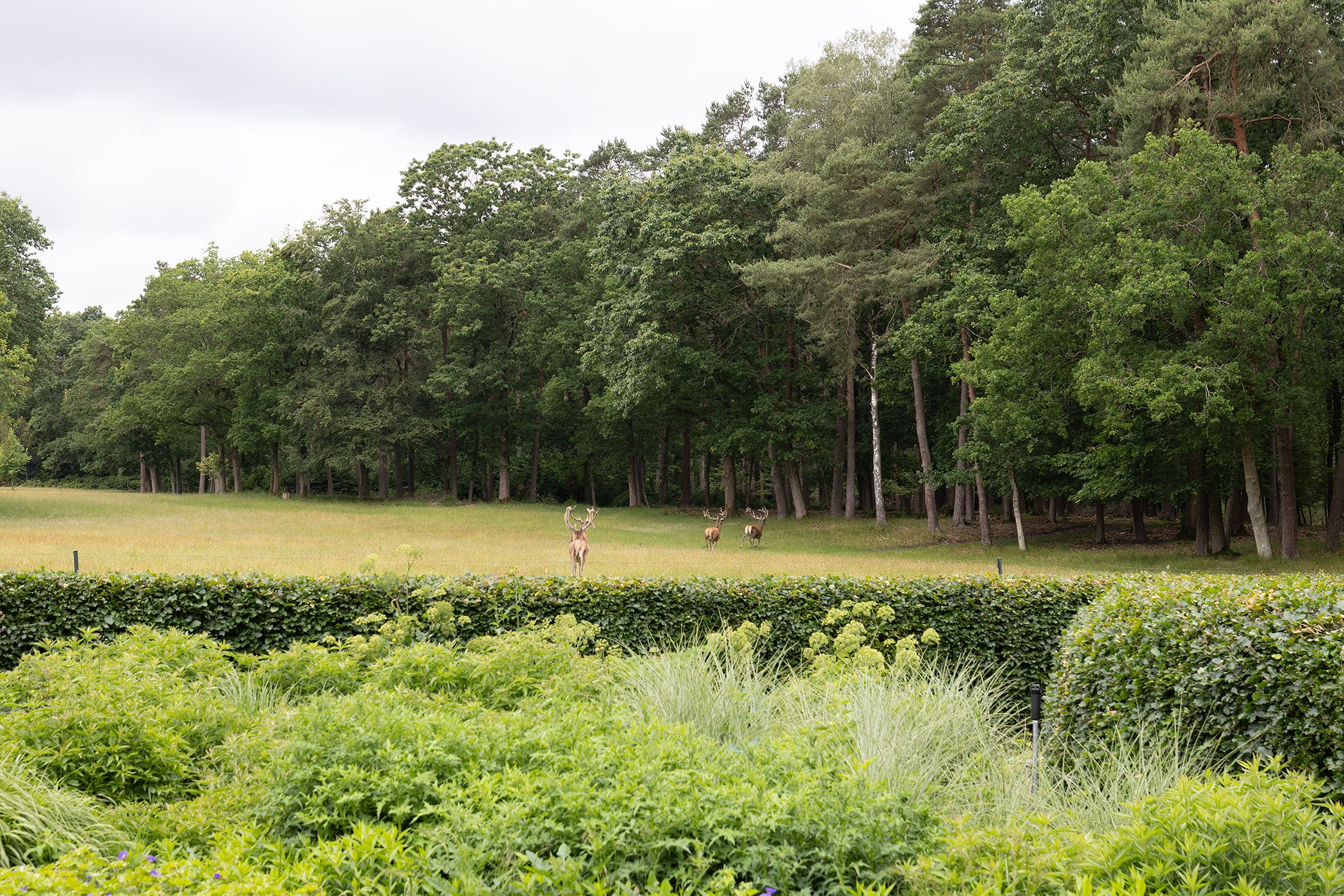 Photo 36 of Plaggeweg 135