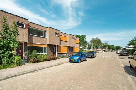 van Eckstraat thumbnail