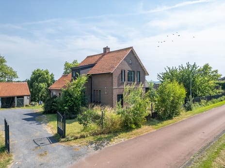 Zuiddijk thumbnail