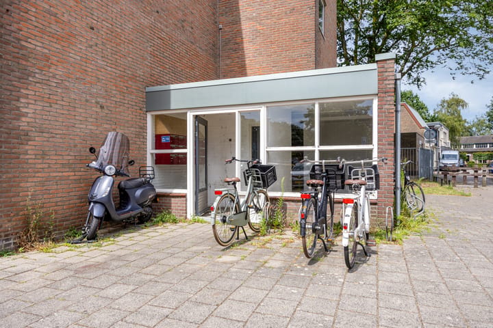 Foto 5 van Schrijverspark 103