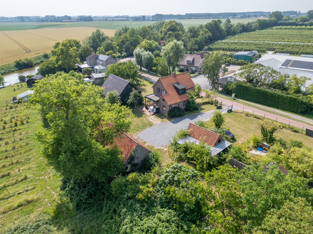 Foto 41 van Zuiddijk 11