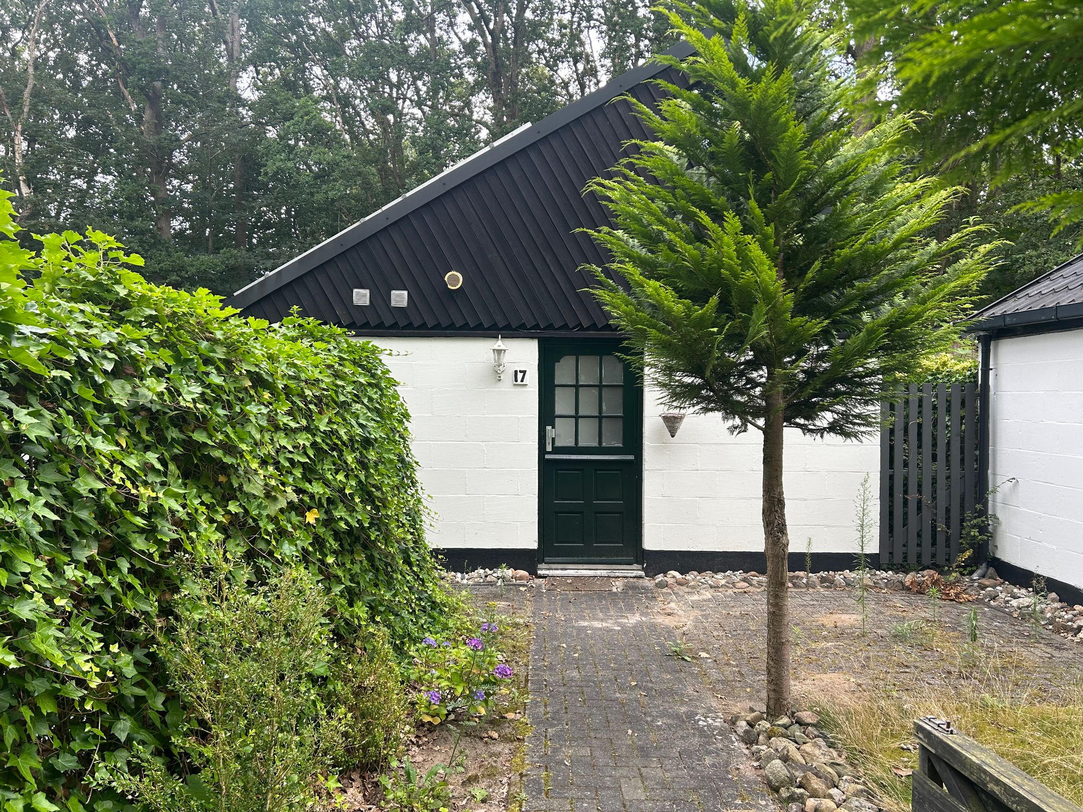 2-bedroom freehold villa in Wedde — photo 3 of 5