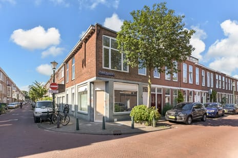 Frederik Ruyschstraat thumbnail