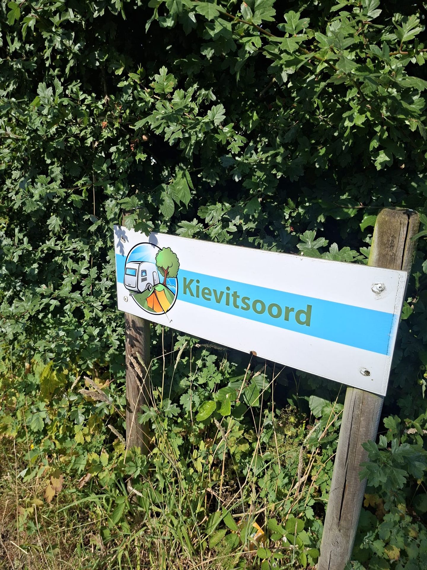 Photo 35 of Huisdreef 1