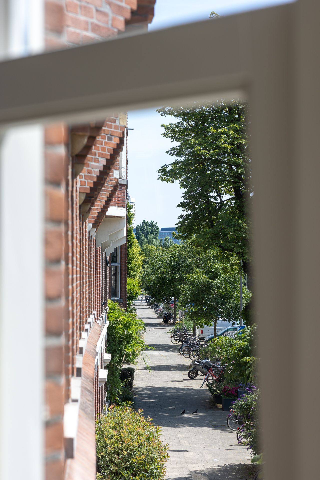Photo 21 of Burgemeester Meineszlaan 67-B