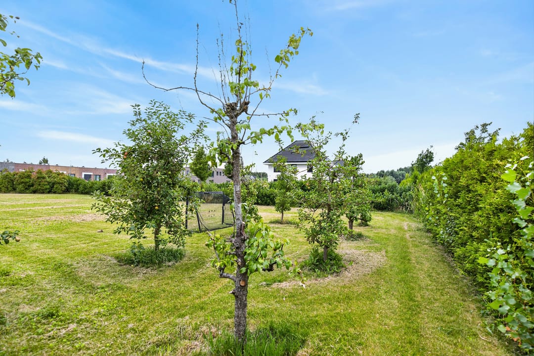 Photo 32 of William Jamesstraat 25