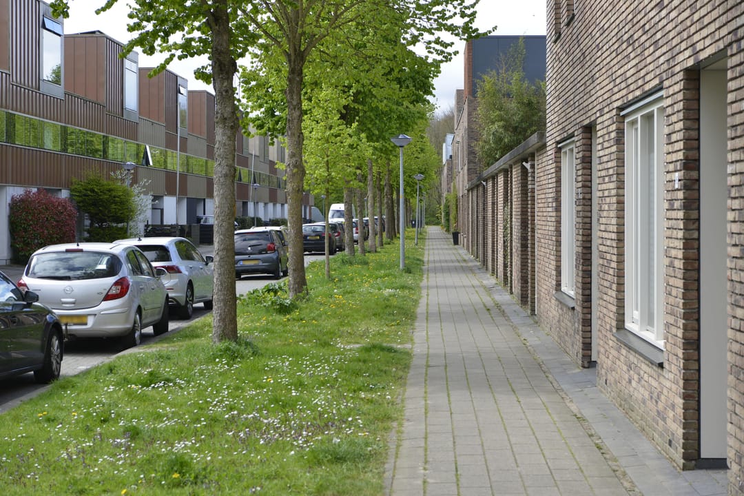 Foto 17 van Kajuit 16