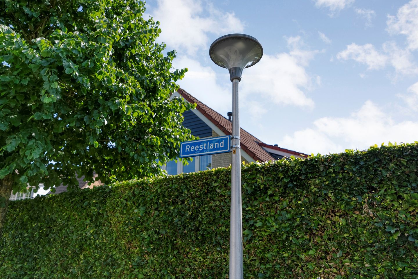 Photo 14 of Reestland 7