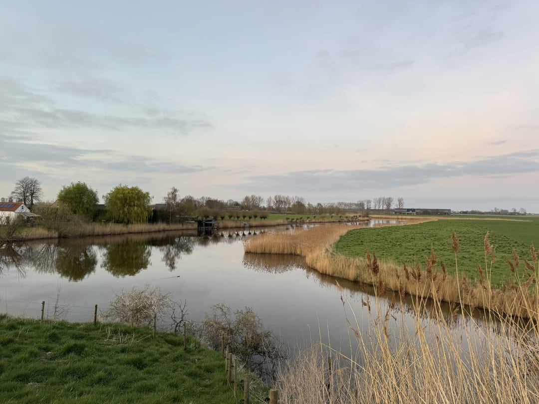 Foto 37 van Zuiddijk 11