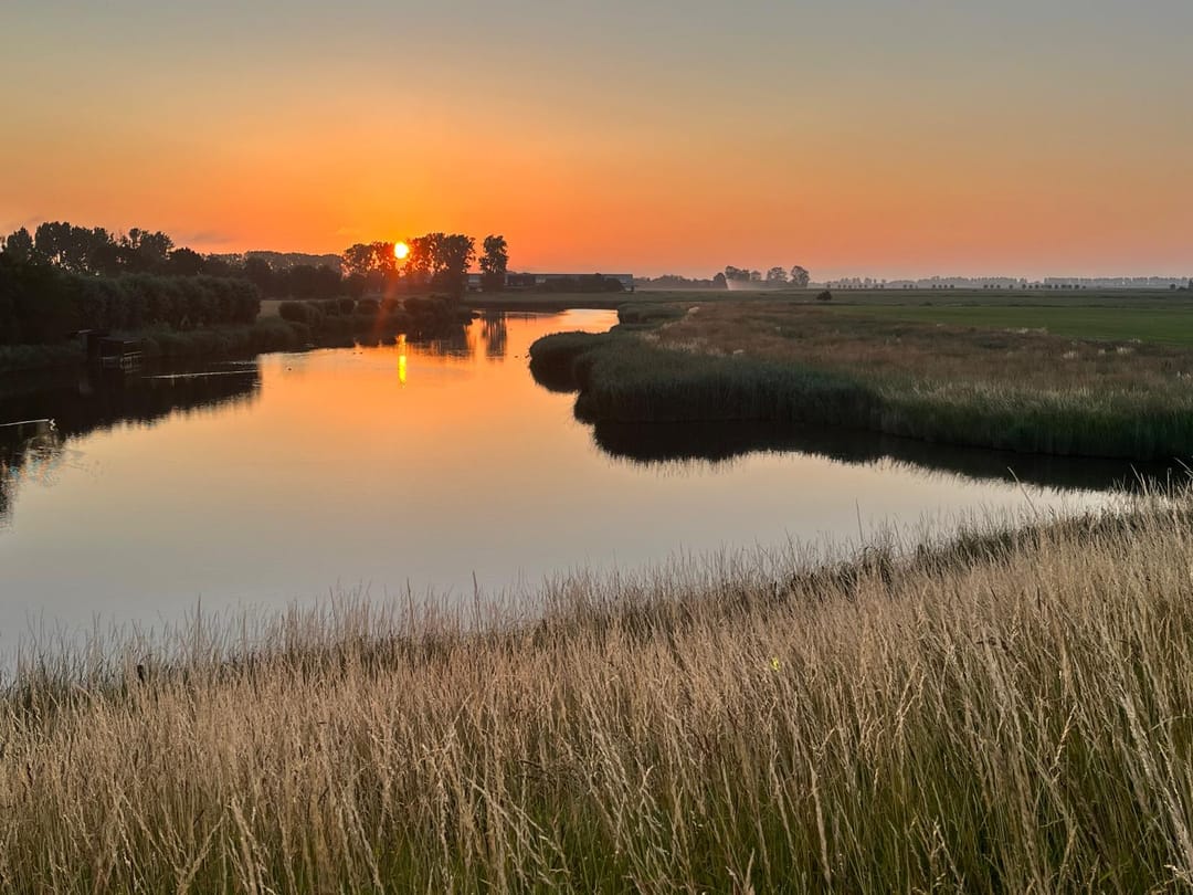 Foto 43 van Zuiddijk 11