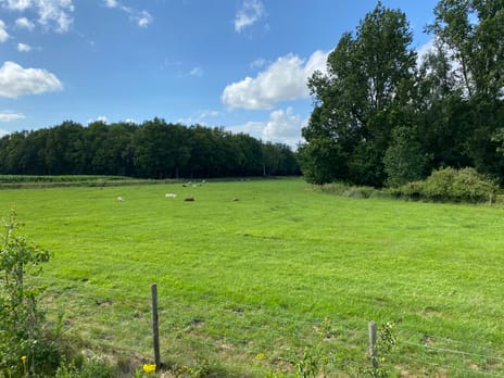 Bekijk foto's
