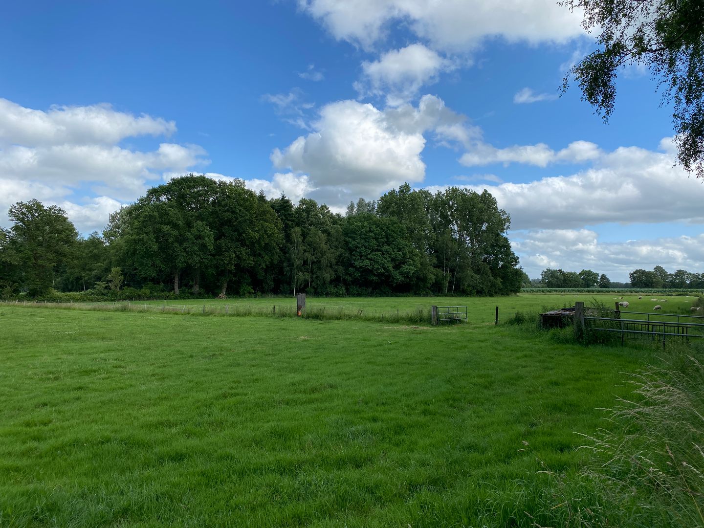 Driesweg - Assen - Afbeelding 7