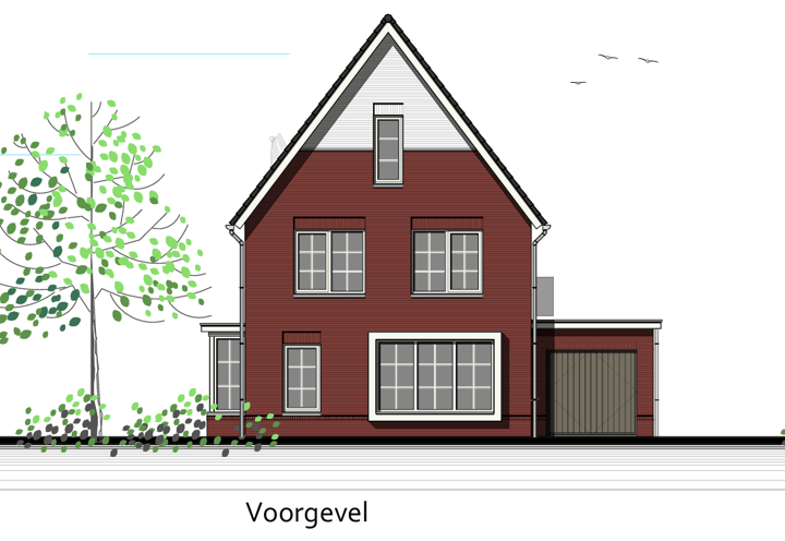 Foto 3 van Anemoonhoek