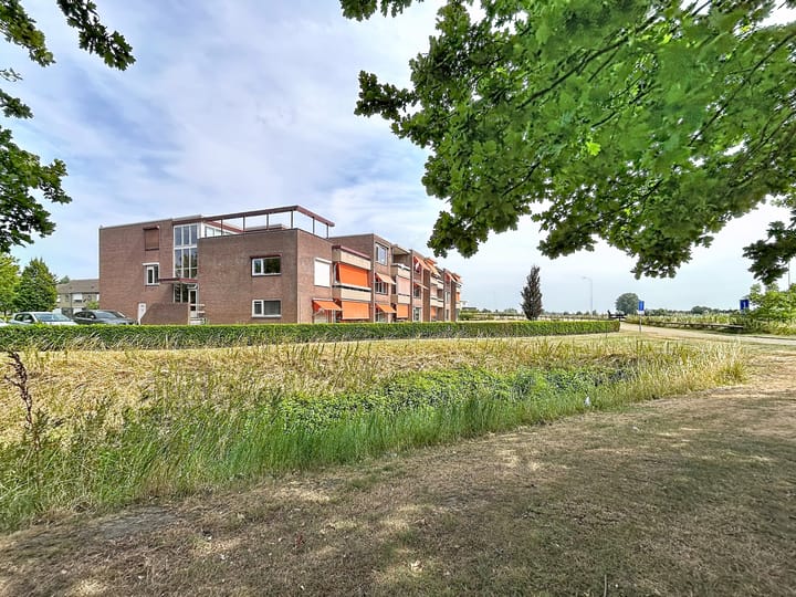 Foto 3 van Grote Beer 8-031