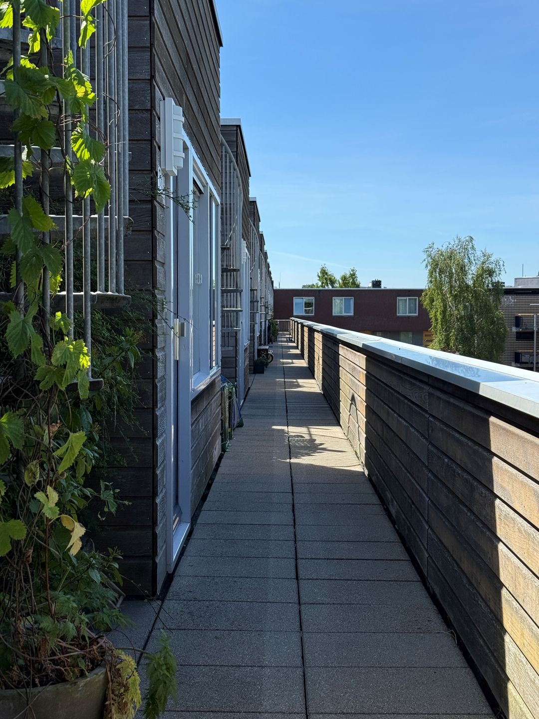 Foto 7 van Vrolikstraat 347-F