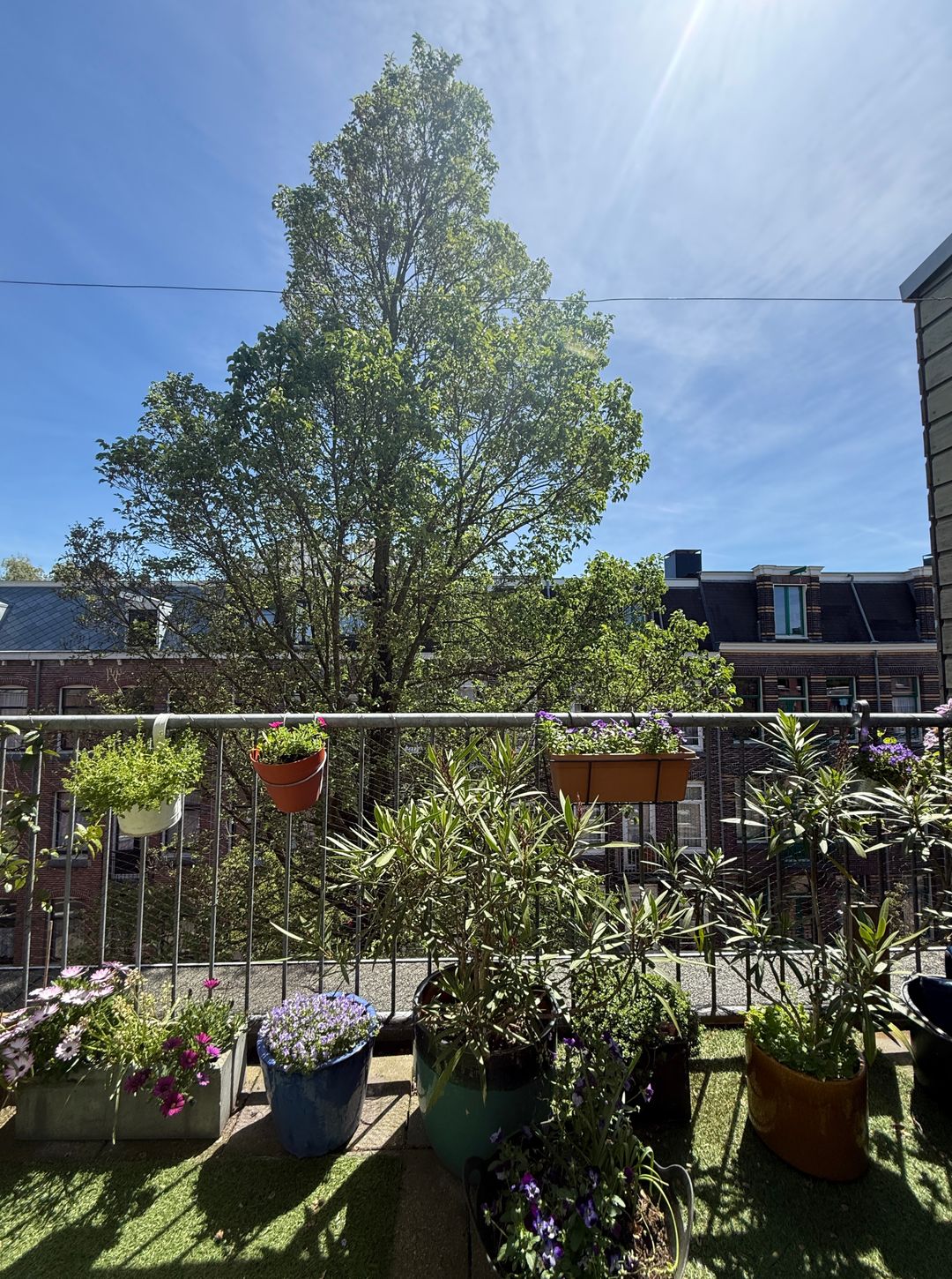Foto 41 van Vrolikstraat 347-F