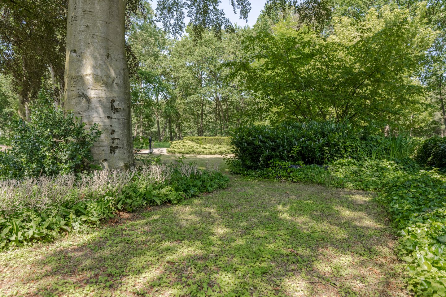 Photo 34 of Harskamperweg 28