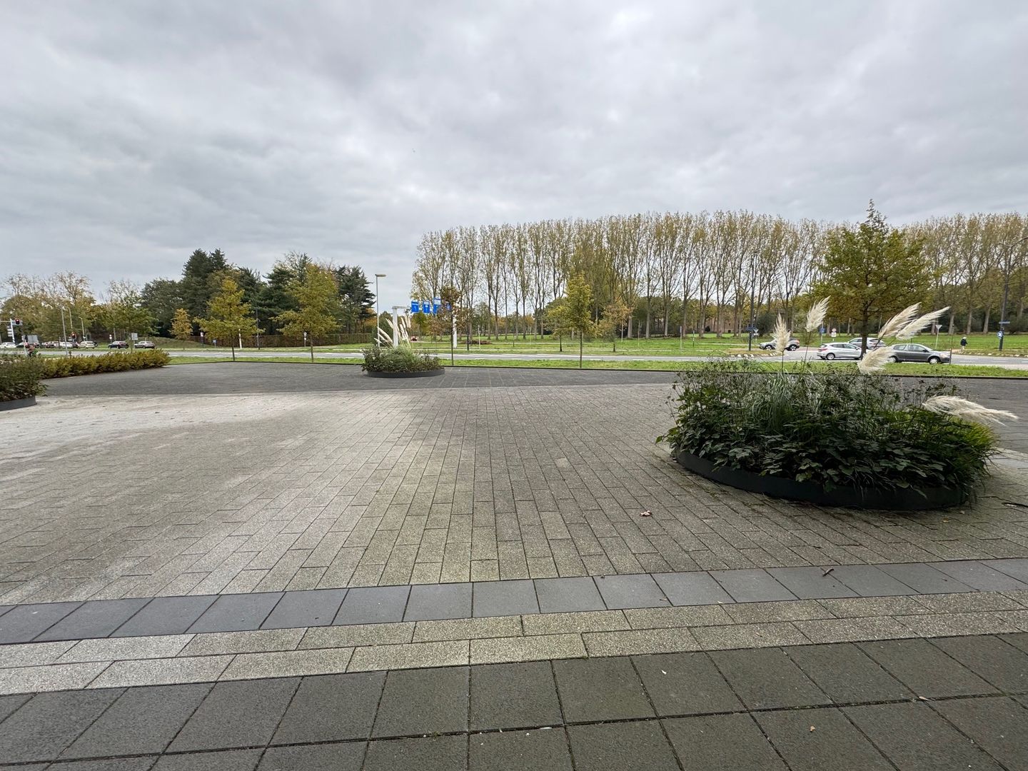 Bekijk foto 2 van Loevesteinstraat 20-B