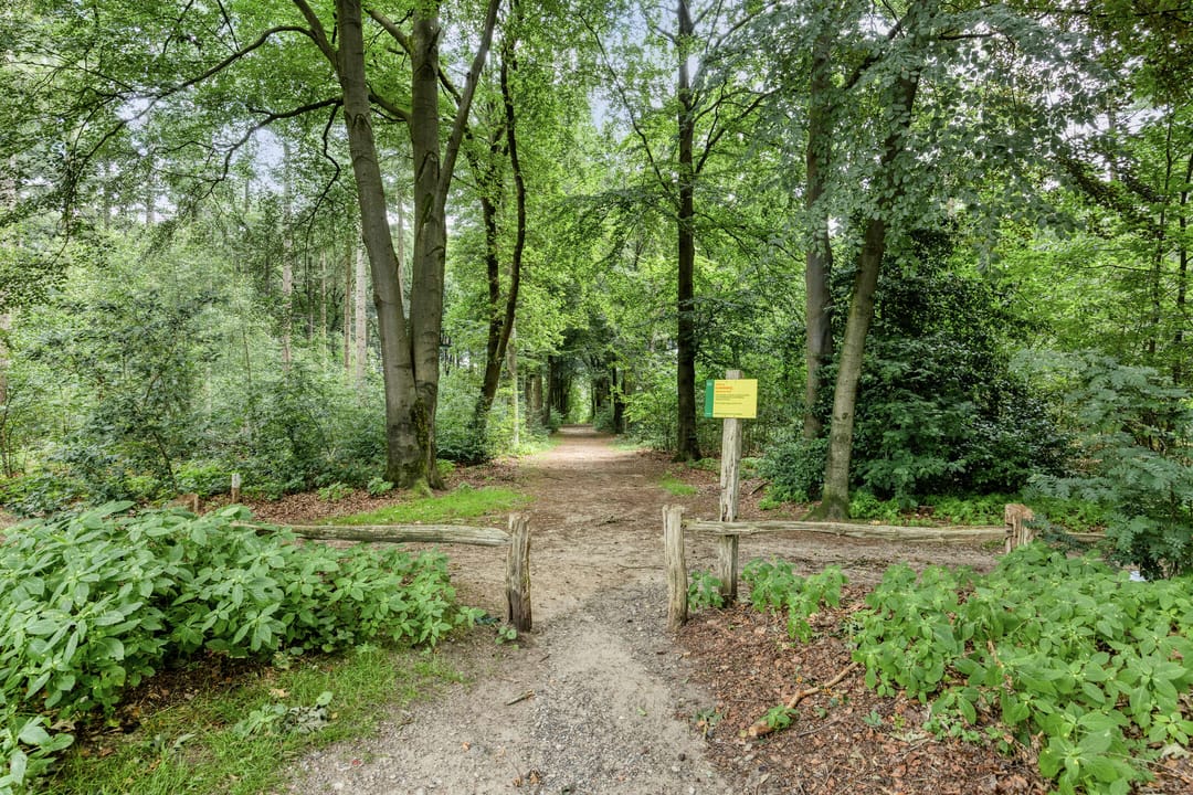 Photo 37 of Immenweg 15-R189