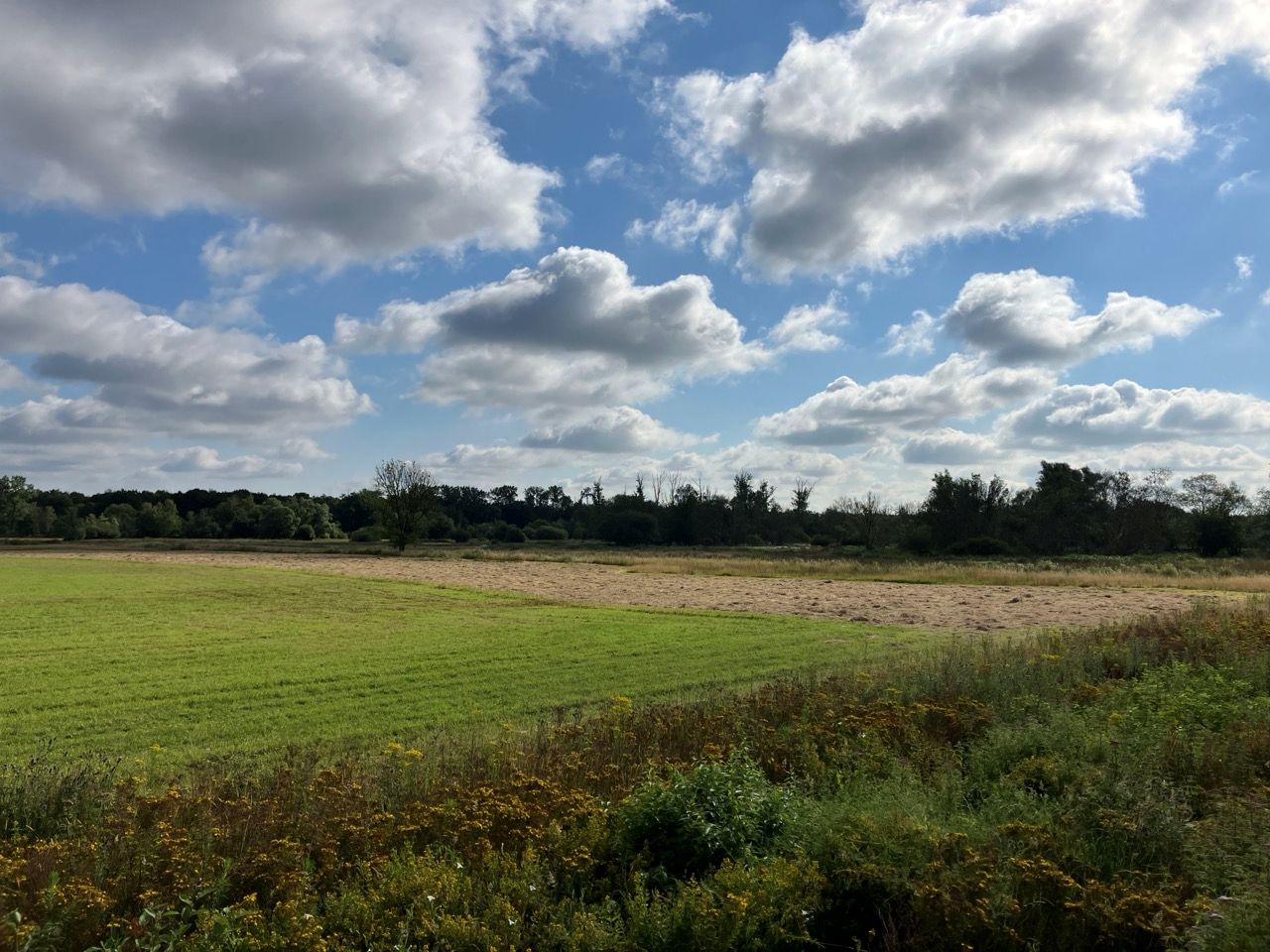 Brugseheide - Valkenswaard - Afbeelding 1