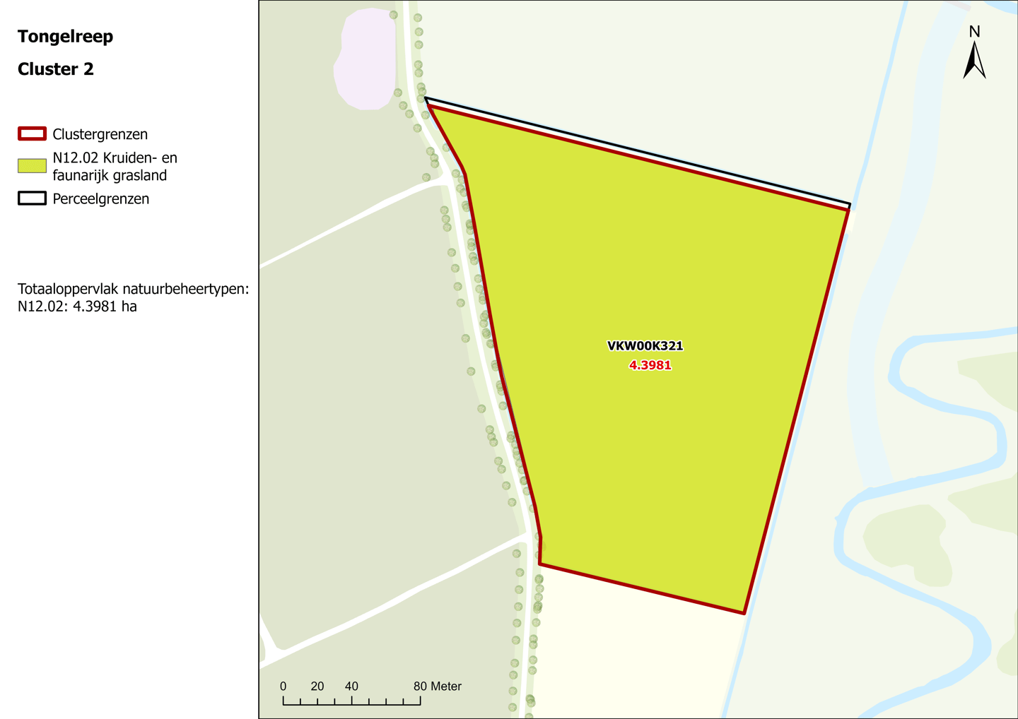 Brugseheide - Valkenswaard - Afbeelding 3