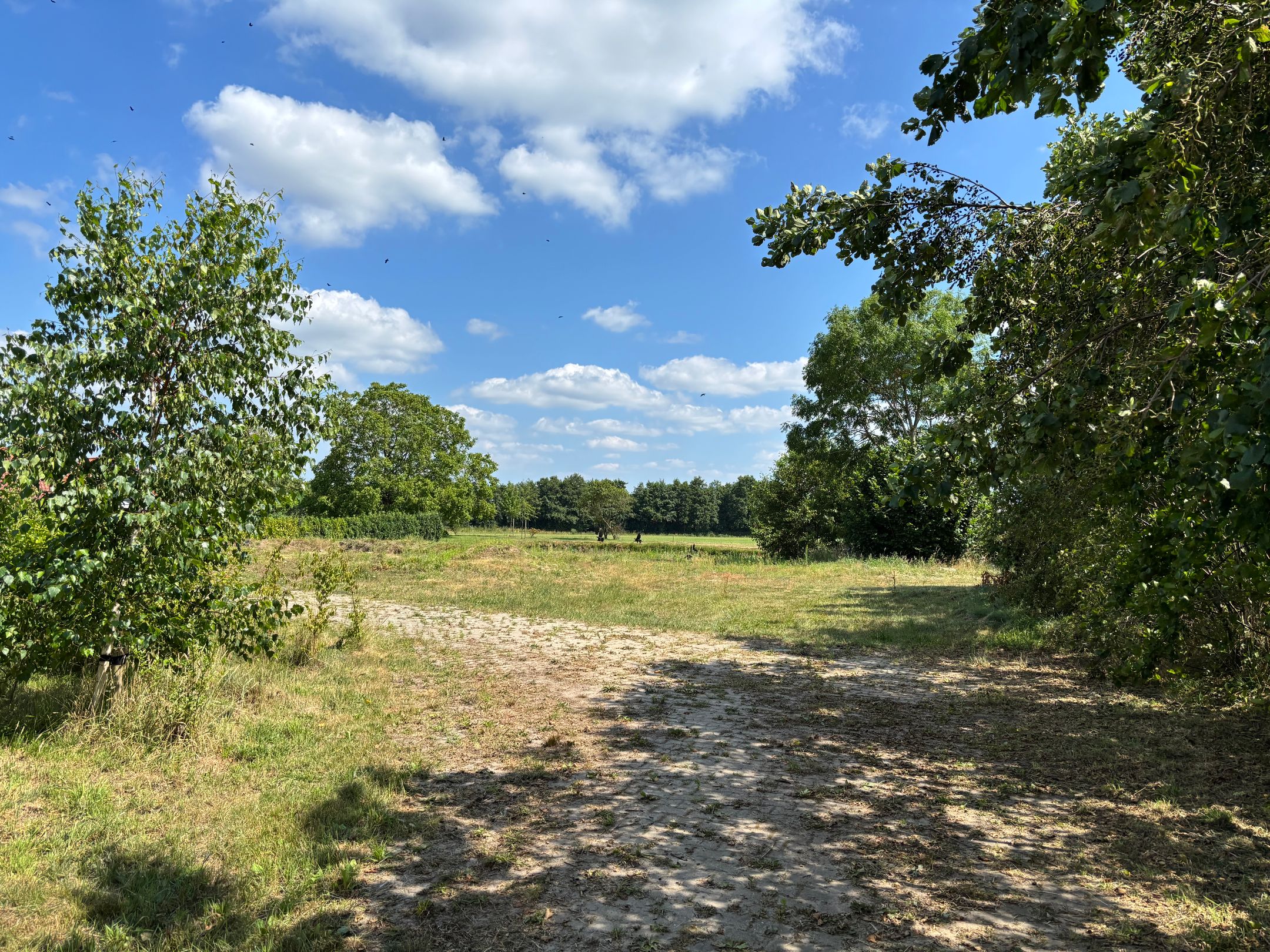 Photo 3 of Ruurloseweg 61