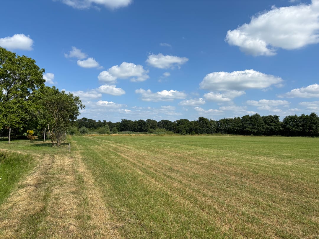 Photo 13 of Ruurloseweg 61