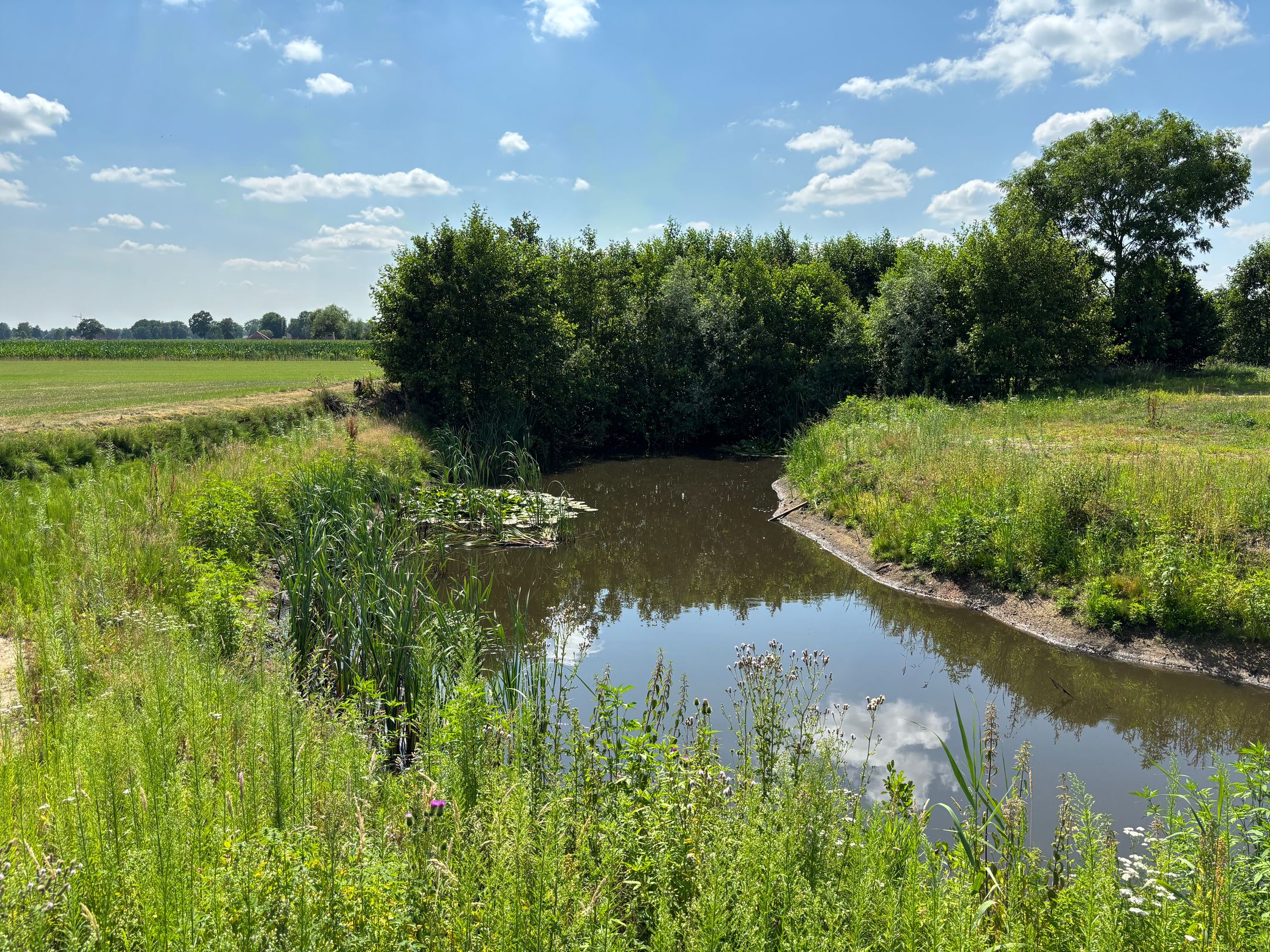 Photo 9 of Ruurloseweg 61