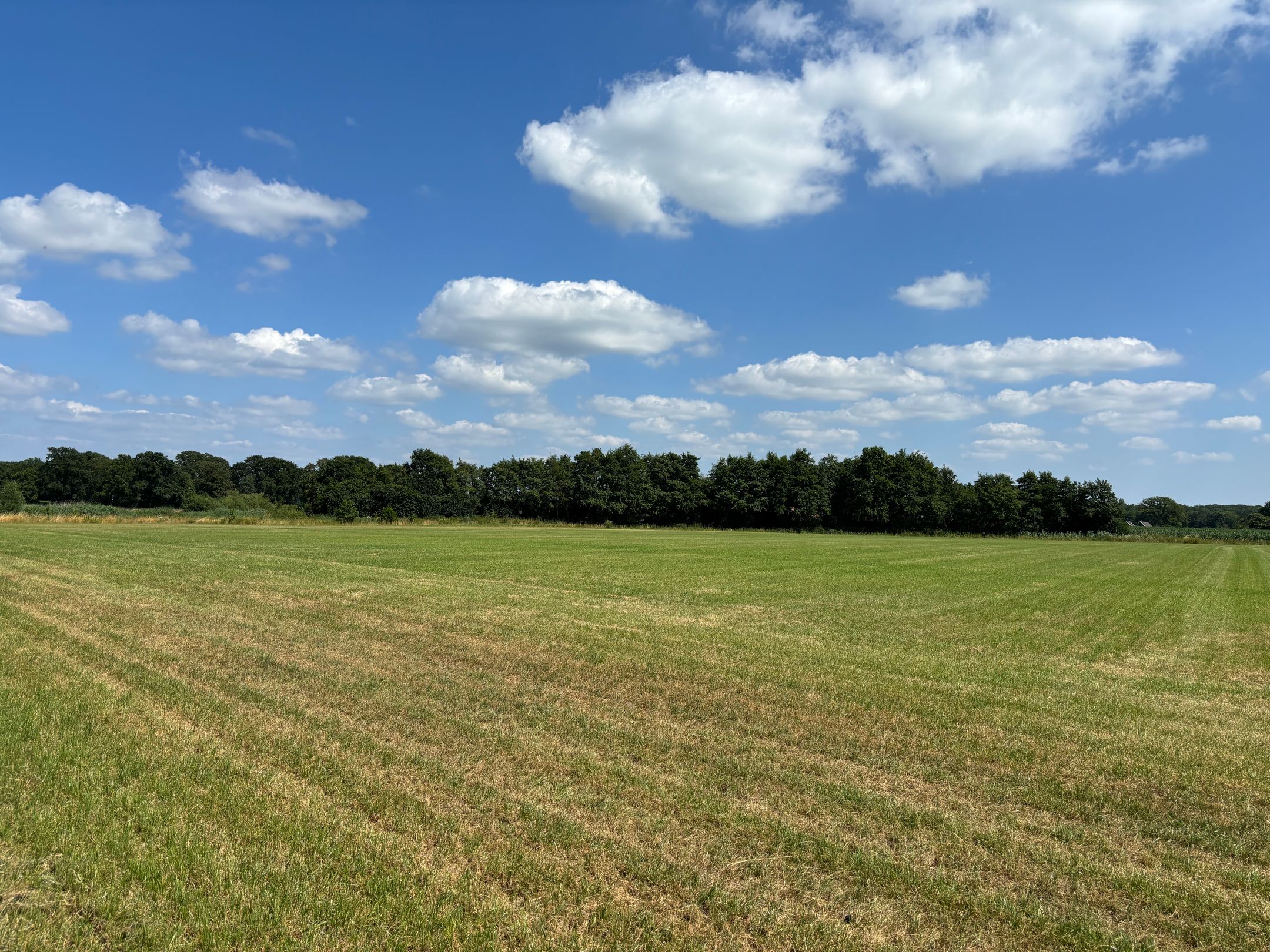 Photo 12 of Ruurloseweg 61