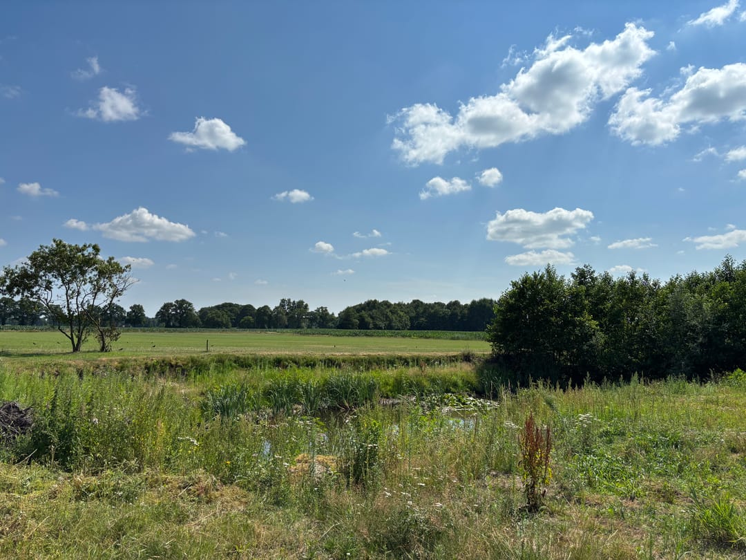 Photo 8 of Ruurloseweg 61