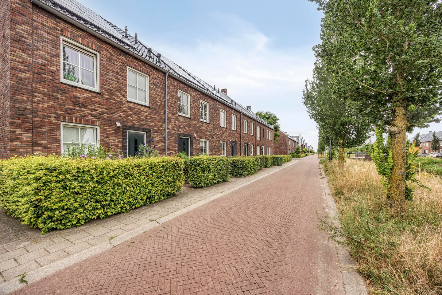 Foto 10 van Wadloper 17