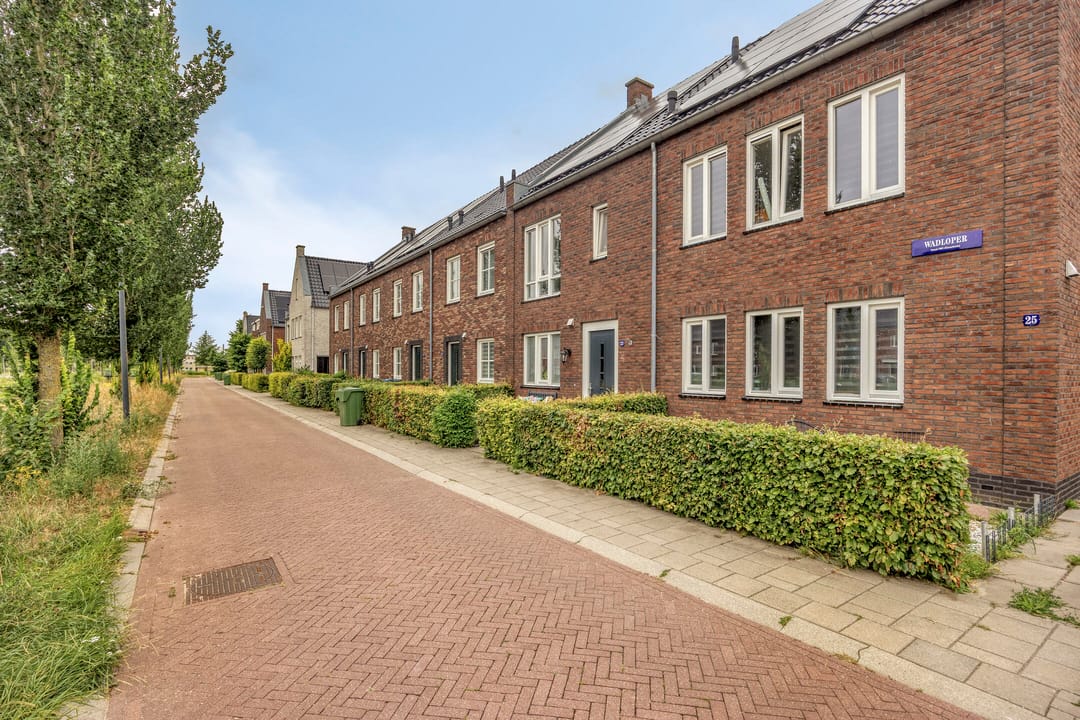 Foto 11 van Wadloper 17