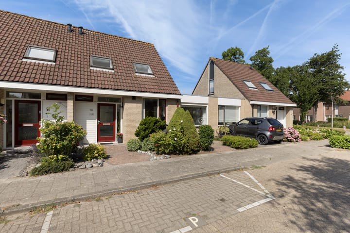 Foto 4 van Winterkoning 13