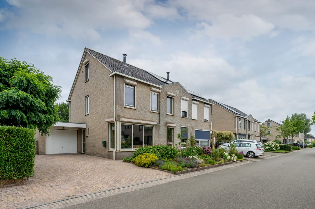 Foto 43 van Grijskopspecht 10