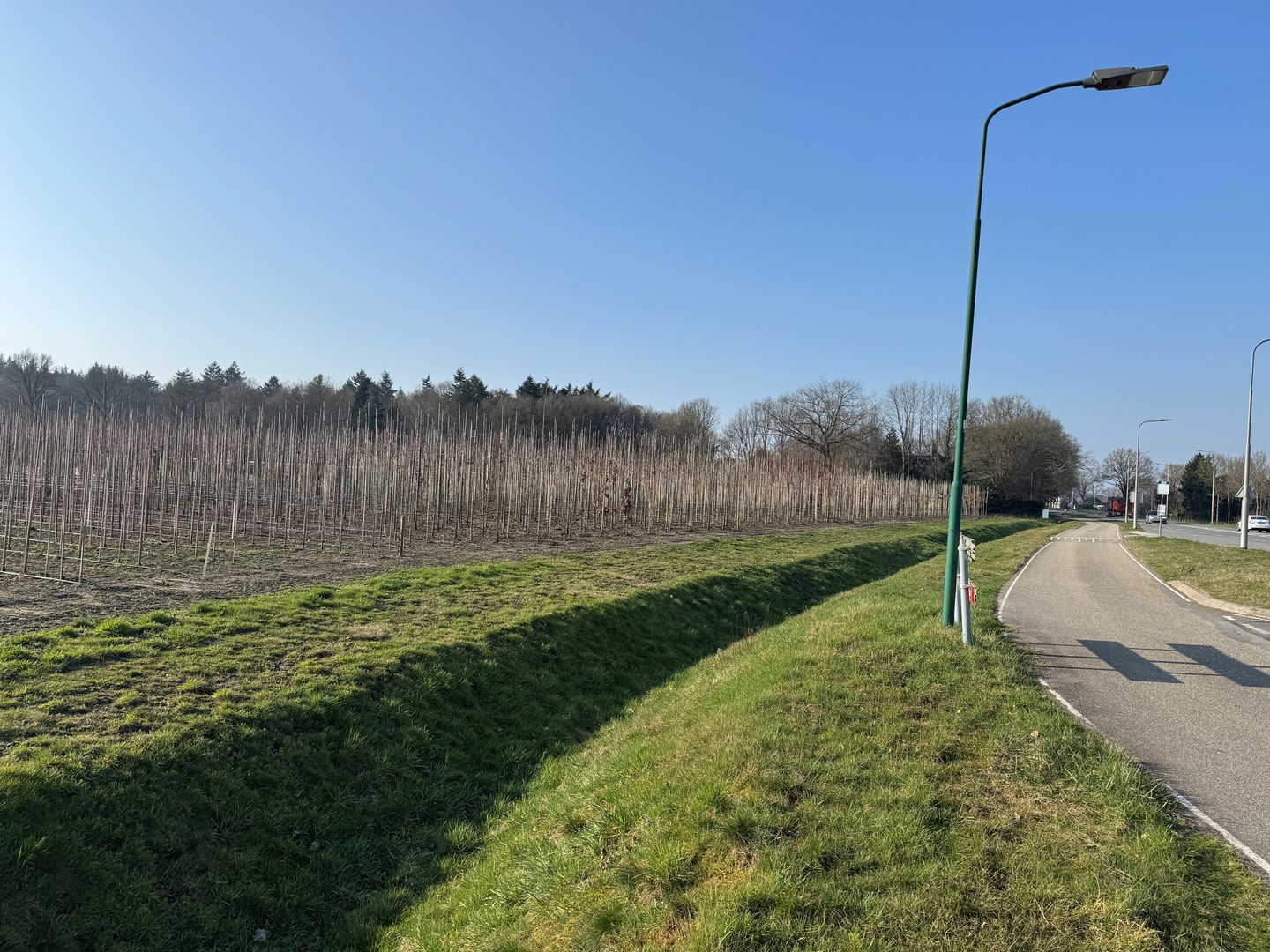 Cuneraweg - Rhenen - Afbeelding 7