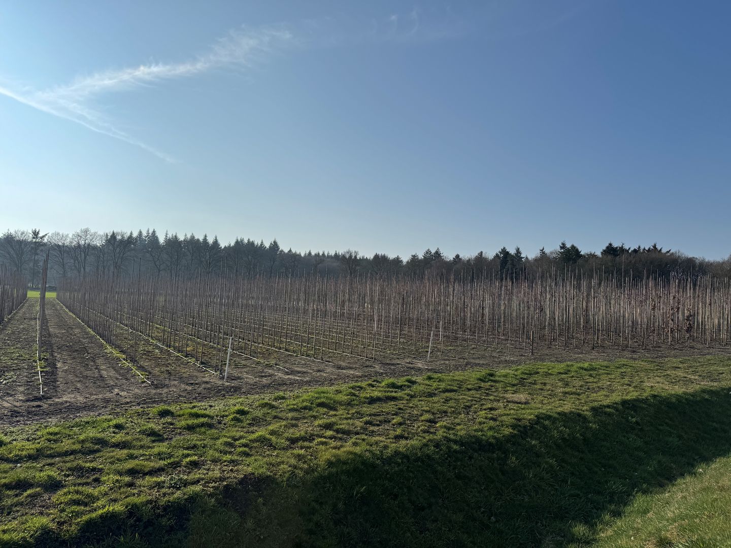 Cuneraweg - Rhenen - Afbeelding 6