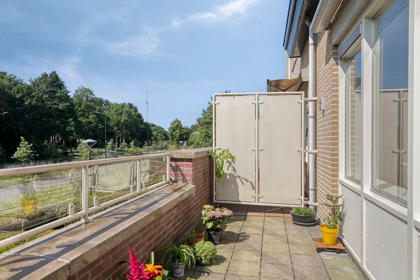 Photo 10 of Goudvink 39