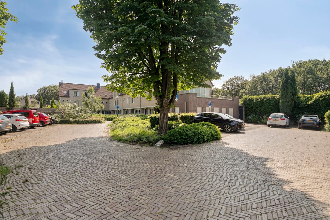 Photo 32 of Goudvink 39
